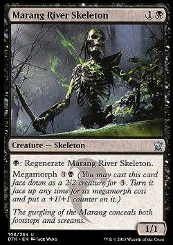 Marang River Skeleton (Marangfluss-Skelett)